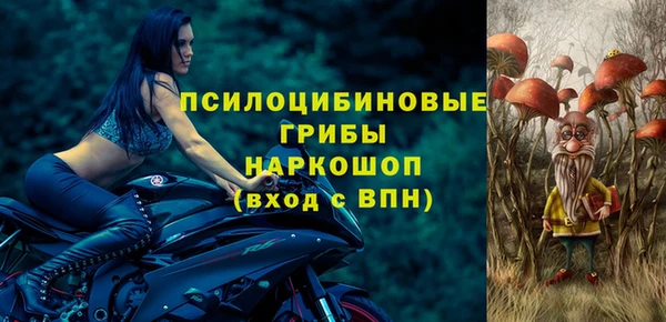 винт Гусь-Хрустальный