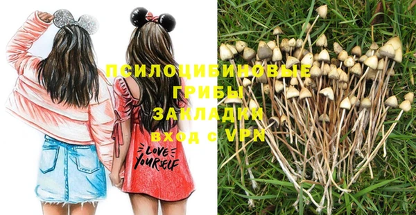 трава Гусиноозёрск