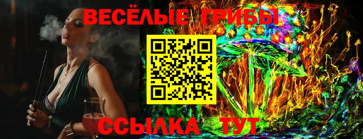 Псилоцибиновые грибы Cubensis Елабуга