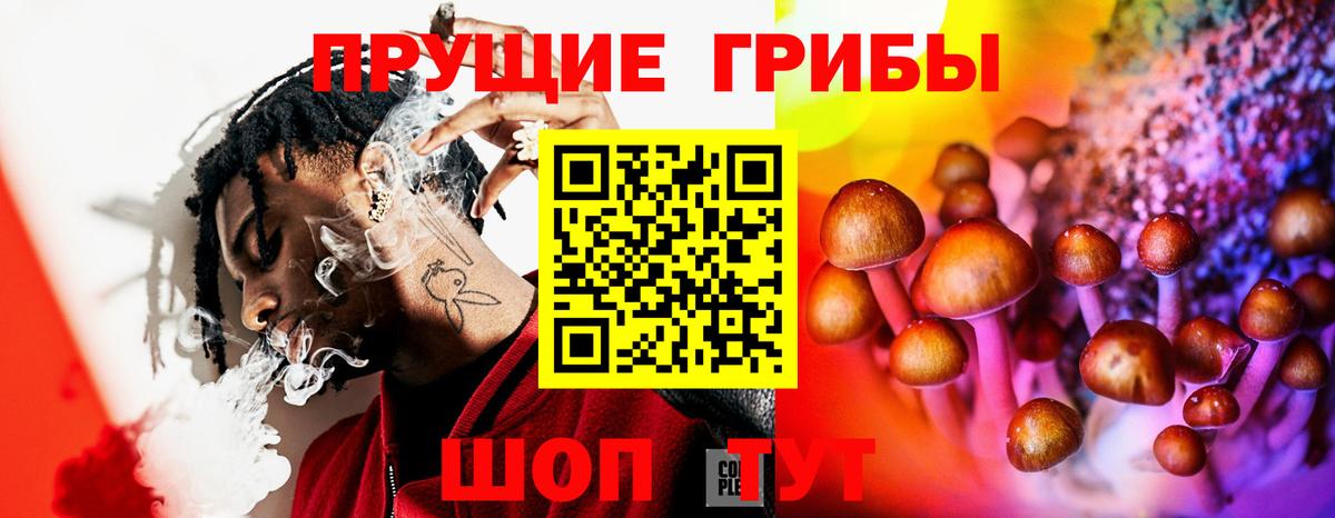 Псилоцибиновые грибы Cubensis  Вход с VPN  Псилоцибиновые грибы ЛСД  Елабуга 