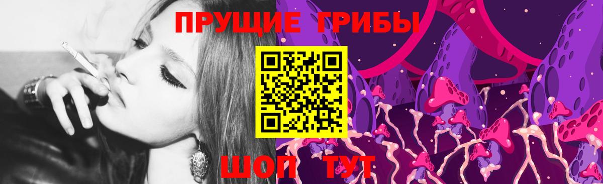 Псилоцибиновые грибы Psilocybine cubensis  Елабуга 